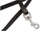 500 cm Dog & Cat Strap Leash (Multicolor) - GrabaDeal