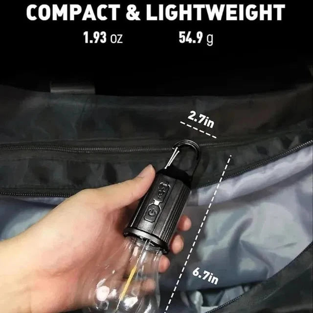 Decorative Hanging Bulb with 3 Modes Tent Lamp for Camping Pac of 2