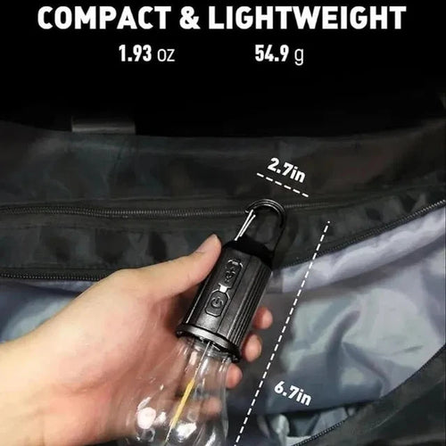 Decorative Hanging Bulb with 3 Modes Tent Lamp for Camping Pac of 2