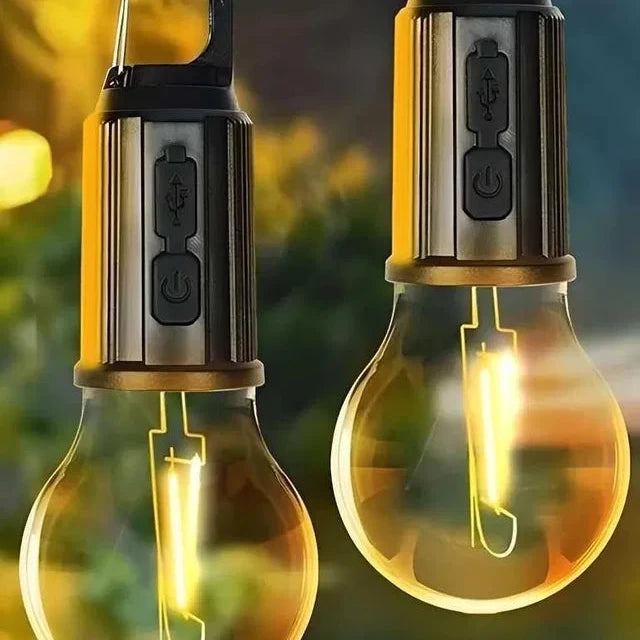 Decorative Hanging Bulb with 3 Modes Tent Lamp for Camping Pac of 2